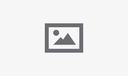 Sales Promoter – Male/Female (2) Posts